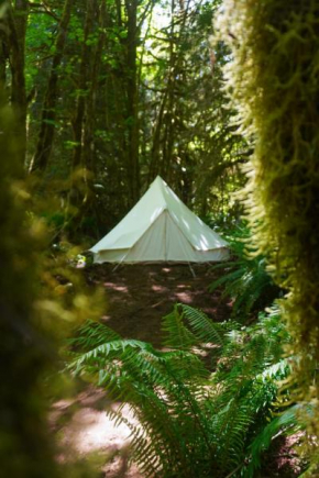 Wander Camp Olympic